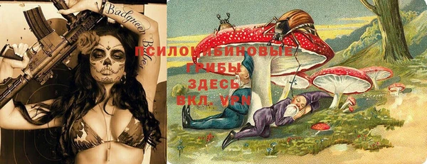 ПСИЛОЦИБИНОВЫЕ ГРИБЫ Алзамай