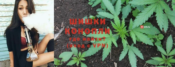 ПСИЛОЦИБИНОВЫЕ ГРИБЫ Алзамай